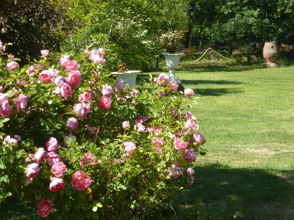 Domaine Du Planas Ailhon Ardeche Bed and Breakfast Værelse billede